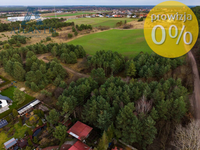 Działka Sprzedaż Kruszyn Leśna 3