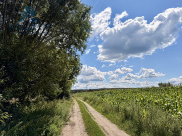 Dom Sprzedaż Czarże Chełmińska 81