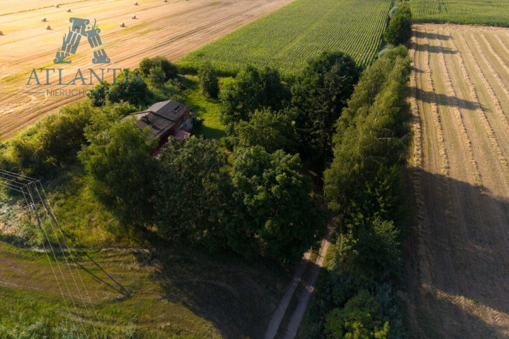 Dom Sprzedaż Czarże Chełmińska 81 1